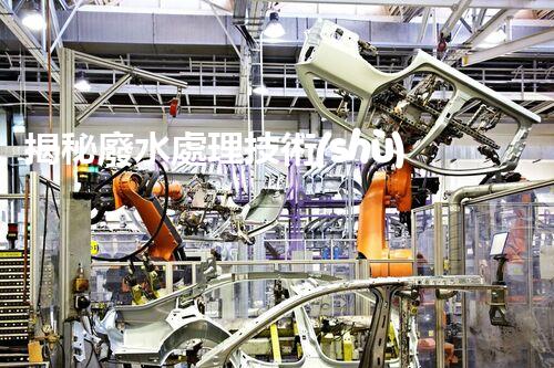 揭秘廢水處理技術(shù)及工程實例叢書的隱藏奧秘？